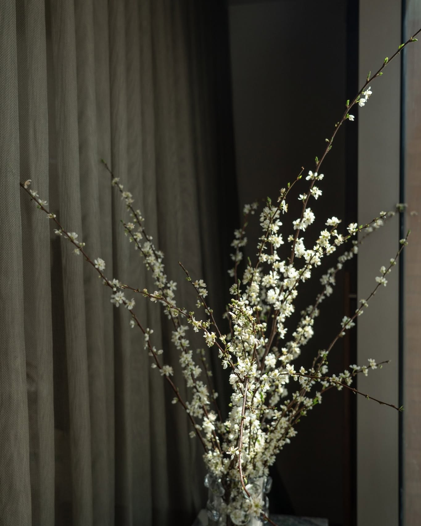 White blossom branches in a glass vase beside a soft curtain